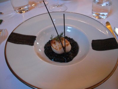 Scallop